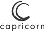 Capricorn Motorteile