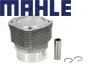 Mahle Piston & Cylinder