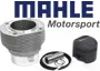 Mahle Motorsport
