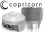 Performance Engine Parts (Capricorn)