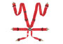 Harness Belts