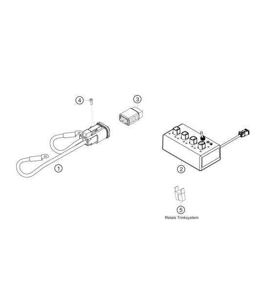 Diagram 0.0-04 Porsche 918 Spyder 4.6L 