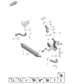 Engine Macan (95B) MK2 2019-2021
