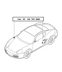 Aplicador de retoque de pintura / Pinturas 987C.2 Cayman 2009-12