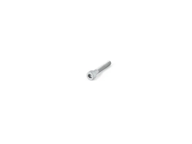 Pan-head screw 90006700503