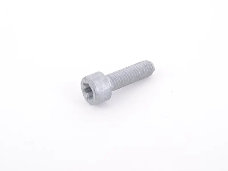 Pan-head screw 90038700601