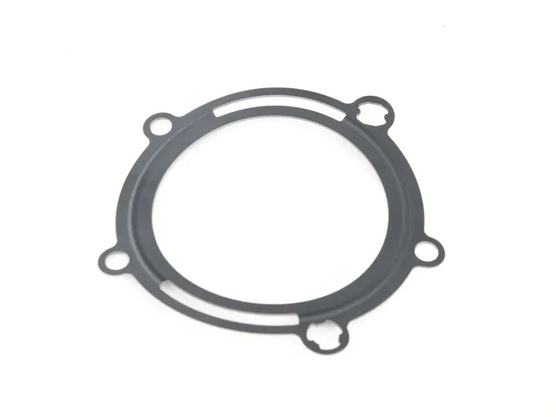 gasket 94810122341
