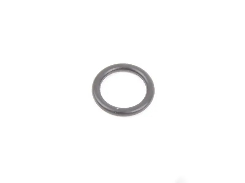 O-ring 94810743900