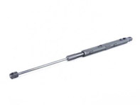 gas-filled strut 97051157100