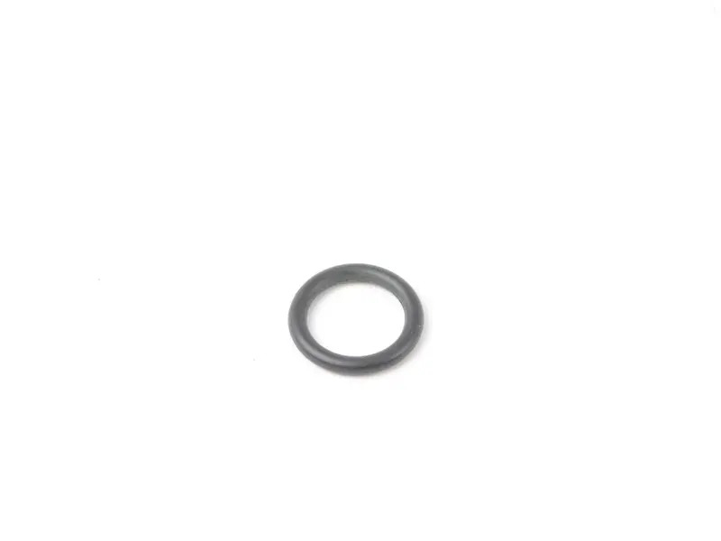 O-Ring 99610680100