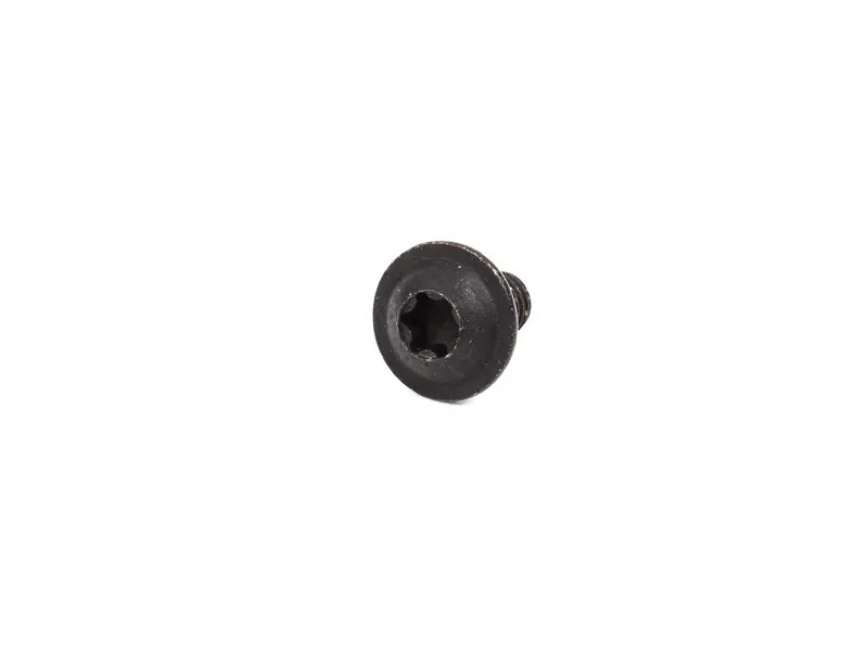 Oval-head screw 99901502509