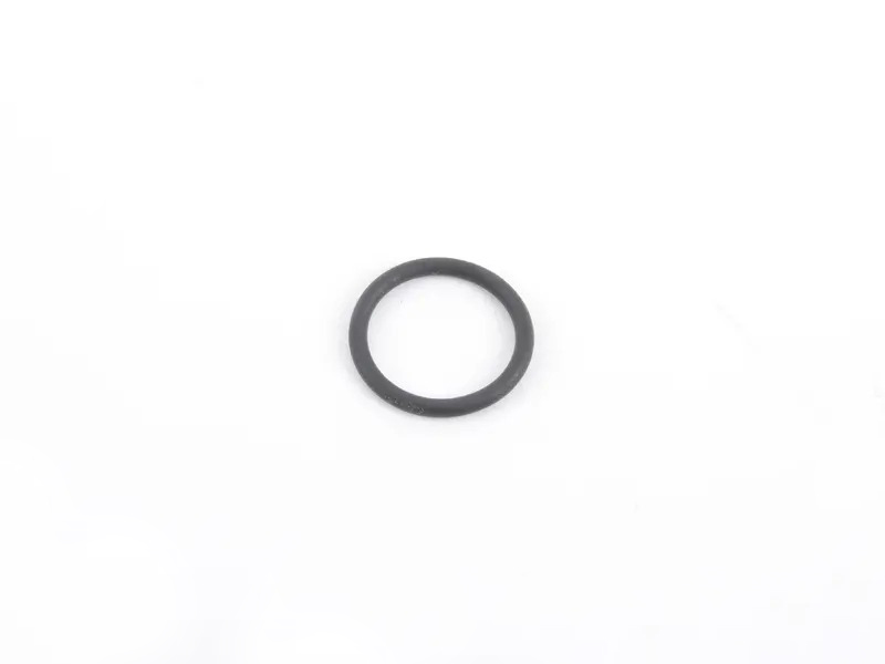 O-Ring 99970159840