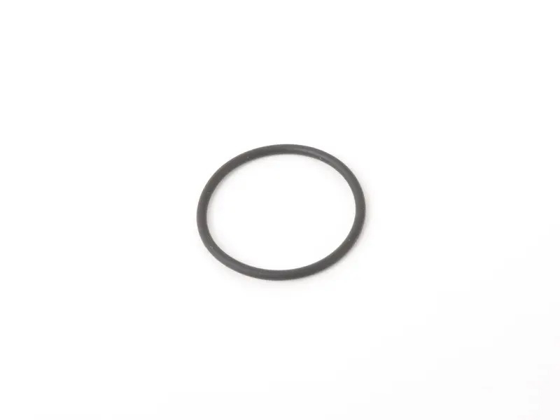 O-Ring 99970731541
