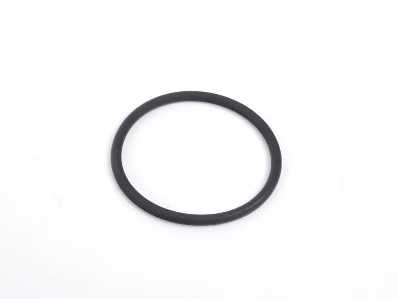 O-Ring 99970741040