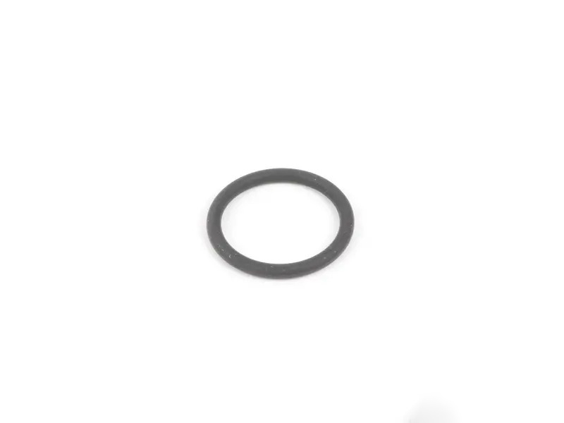 O-Ring 99970747240