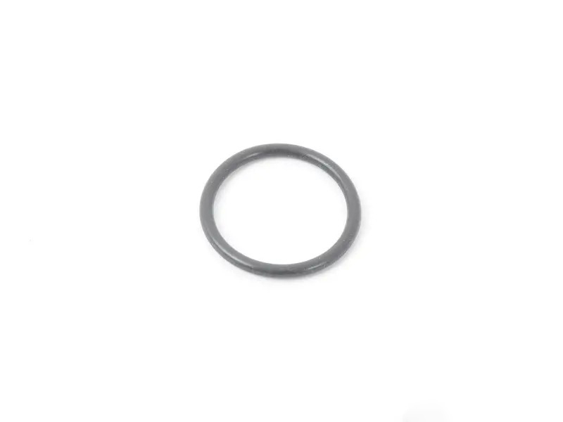 O-Ring 99970750440