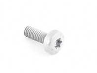 Oval hexagon socket head bolt N10451405
