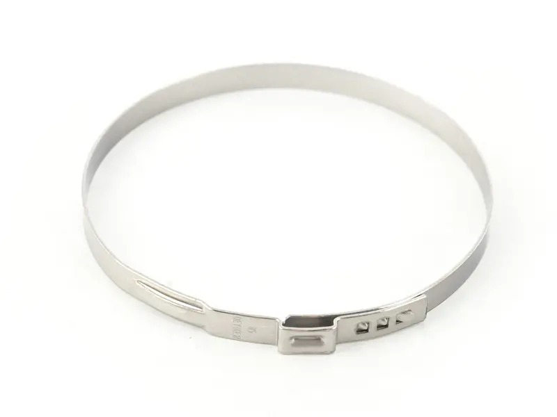 Ear Hose Clamp N10766002