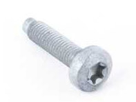 Oval hexagon socket head bolt N90366006