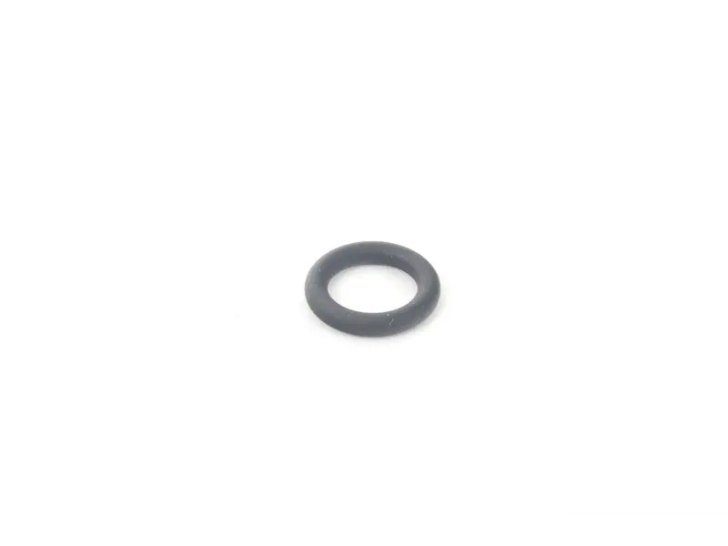 O-Ring N90666001