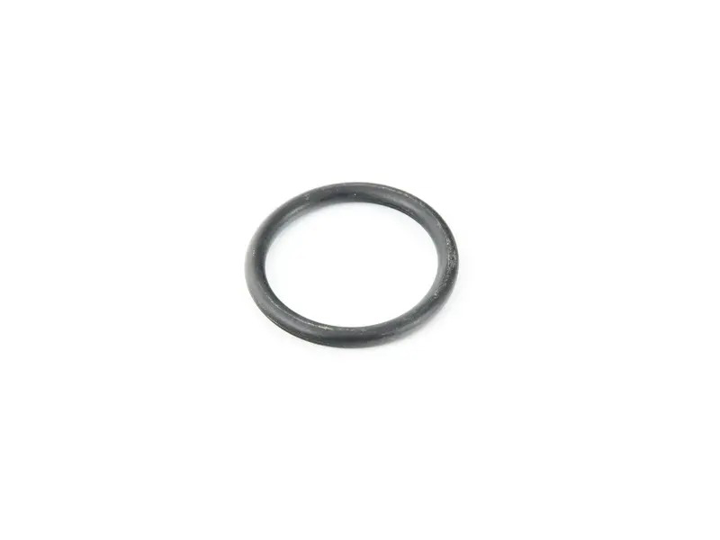 O-Ring N90765301