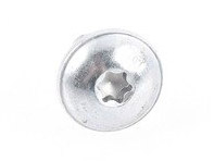 Oval hexagon socket head bolt N91042301