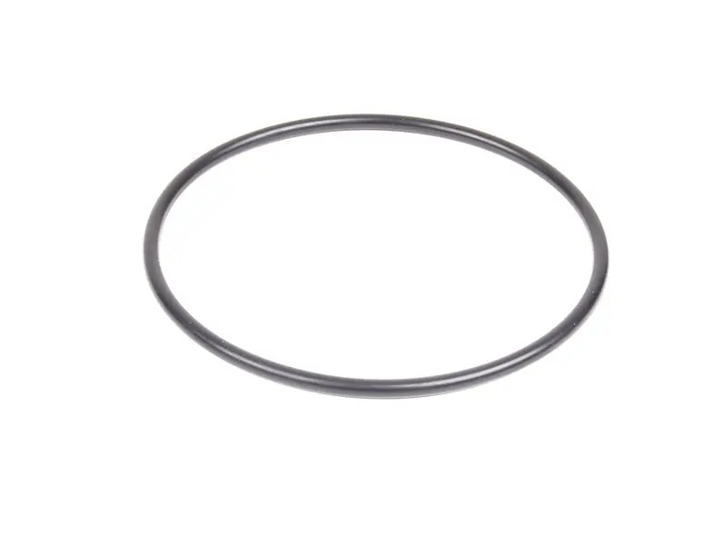 O-Ring N91095601