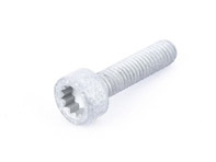 bolt with polygon socket hd. N91128701