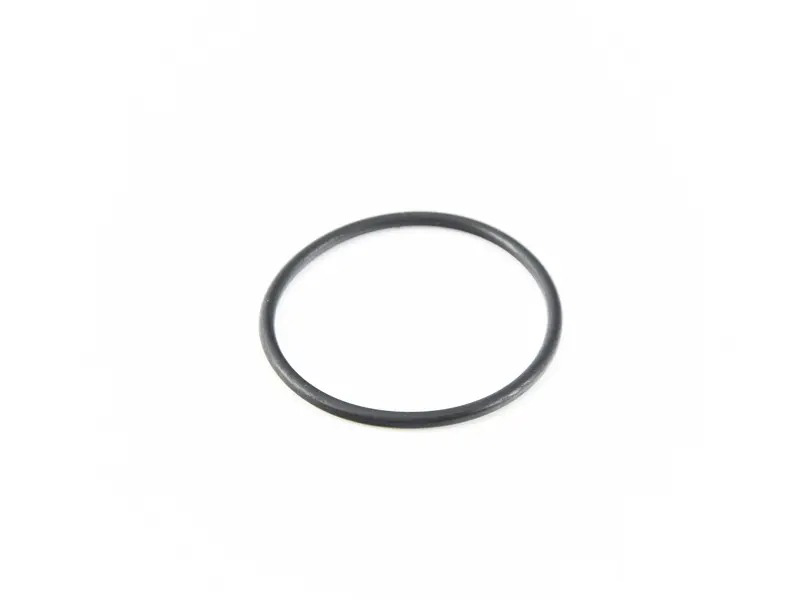 O-Ring PAF005499