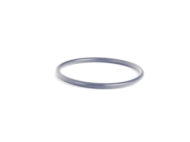 O-Ring WHT001018