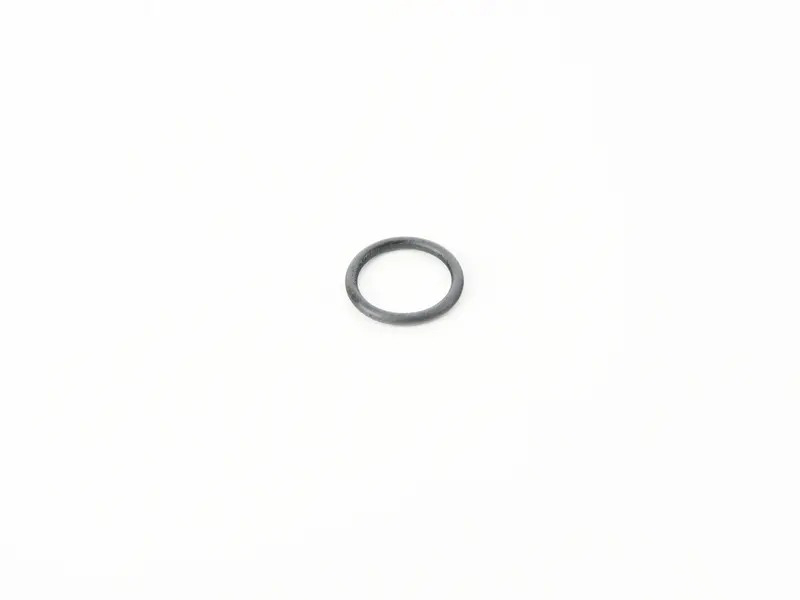 O-Ring WHT006114