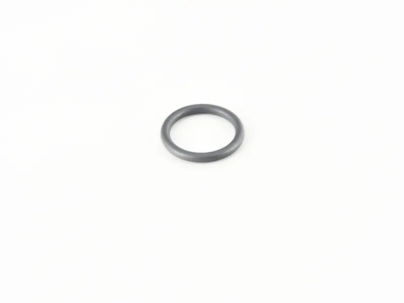 O-Ring WHT006124