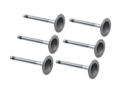 Valvola di aspirazione della testata del motore TRW. Porsche 911 1970-77 - 91110541120, 911.105.411.20, 1013.002, 91110541100 - V94266
