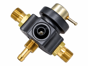 Fuel Pressure Regulator Kit Non Adjustable 3.0 Bar. Porsche 928 1987 / 911 Carrera 3.2 - 92811019802 - AMS9050124
