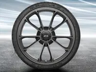 20' 991.2 GT3 in platina (zijdeglans) lichtmetalen velgen origineel Porsche - 99104460311