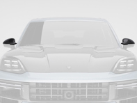 TechArt 外后视镜装饰盖，左侧驾驶。保时捷 9YA (E3) 卡宴 - 09Y.121.320.009G, 09Y.121.320.009M - 09Y.121.320.009G, 09Y.121.320.009M