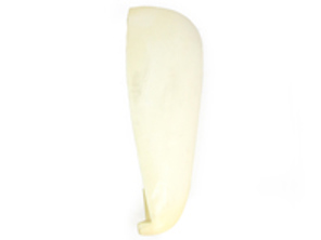 Rugleuning zijsteun schuim. Porsche 911 1970-73 - 91152119100, 91152119200, 5211920003, 5211910003