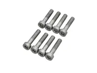 飞轮螺栓 8 件套。保时捷 986 / 987 / 987C / 996 / 997 - 99907309202 - 99907309209, 99907309201, 99907309202