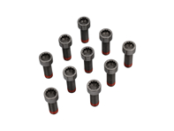 飞轮螺栓 10 件套。保时捷 997 / 991 / Boxster / Cayman / Cayenne / Macan / Panamera - 411013910, PAF906651, N90665101