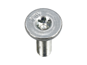 Drive belt tensioner lever bolt. Porsche 991 / 992 / Boxster / Cayman - PAF008343, 99907357901, PAF008343A