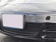 Rete metallica della griglia centrale del paraurti anteriore. Porsche 997 prima generazione