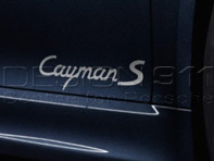 Désignation du modèle sur les portes. Porsche 981 Cayman - 98104480071041, 981044800701V04, 98104480071V04