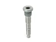 Bolt for chain tensioner blade. Porsche 964 / 993 / 996 / 997TT - 96410517103, 96410517102