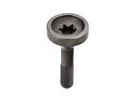 Vite Torx pignone camma scarico M12x1,5x60. Porsche 987.2 / 981 / 997.2 / 991.1 - 9A110525502, 9A110525501