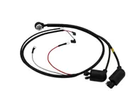 Cableado del motor MFI. Porsche 911 1969 - 90161206800 - RD-901.612.068.00