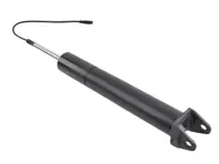 Stoßdämpfer hinten mit PASM. Porsche 997.1 / 997.2 Carrera 4 TARGA / Carrera 4S TARGA 2005-12 - 99733304911, 99733304910, 99733304903, 99733304904