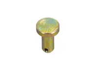 Stift für das Türfangband. Porsche 911 1965-70 - 90008800902