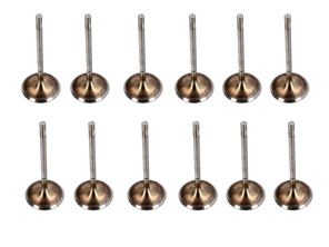 Motor cilinderkop uitlaatklep kit. Porsche 987 Boxster 2.7L / 987C Cayman 2.7L - 98710511600 - 503 VA 32009 000