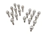 Lightweight Titanium wheel bolts (+7mm/+15mm longer) in silver for Porsches (PACK OF 20) - 99736120000, 99736120302