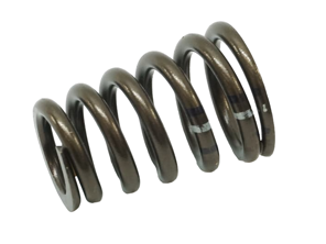 Valve Spring Porsche Boxster 986 2.7L / 3.2L